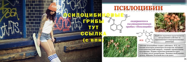 круглые Абаза
