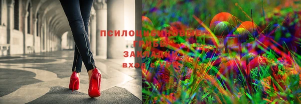 круглые Абаза